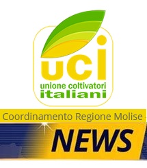 UCI News