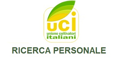 RICERCA PERSONALE